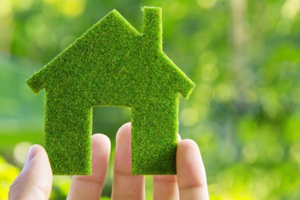 eco